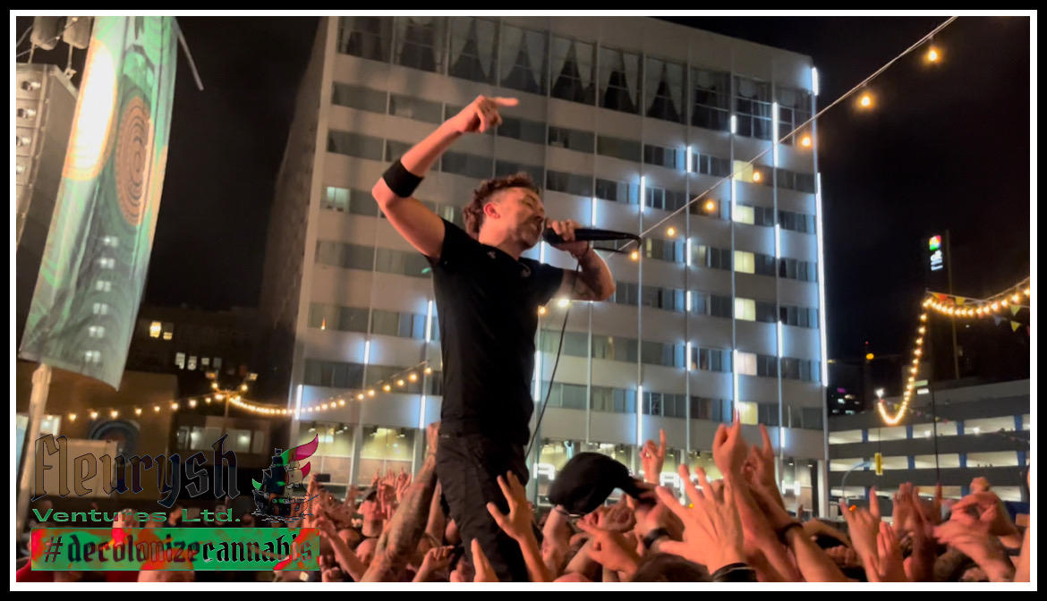 Exploring The Canadian Summer Music Festival Season 2022