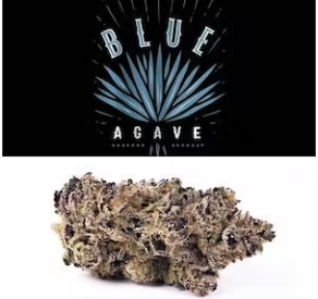 Cookies Blue Agave Strain Is Like A Potent And Upbeat Druken Gelato