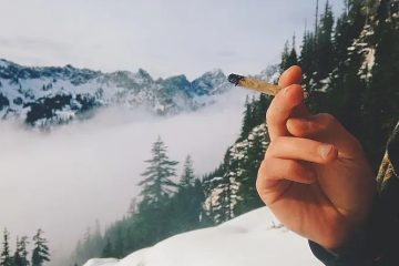 Fun Winter Activities Canadians Love To Do While High