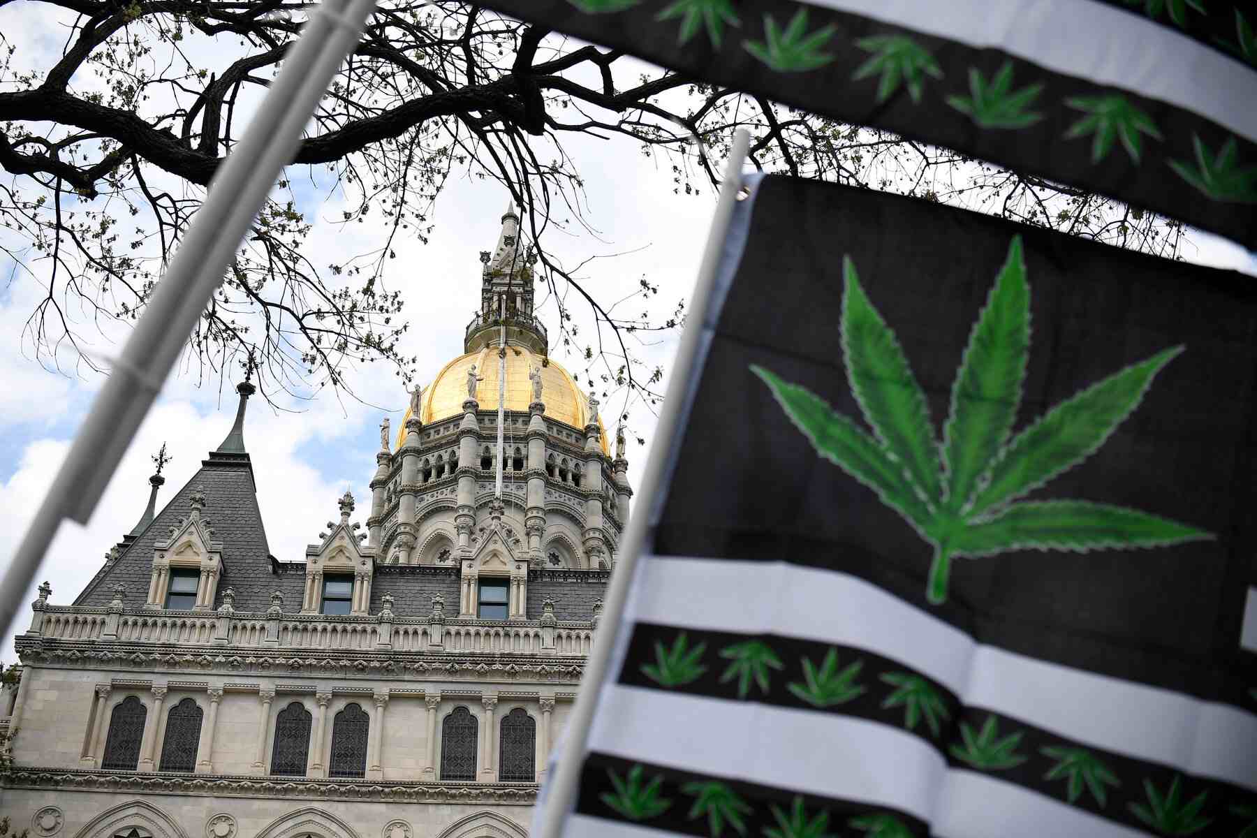 - rapoholik legalna marihuana w Connecticut