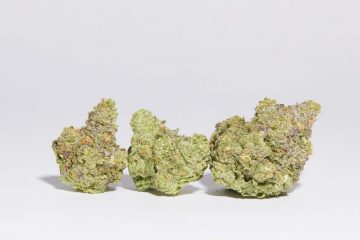 Nature's Heritage Live Flower cannabis Massachusetts