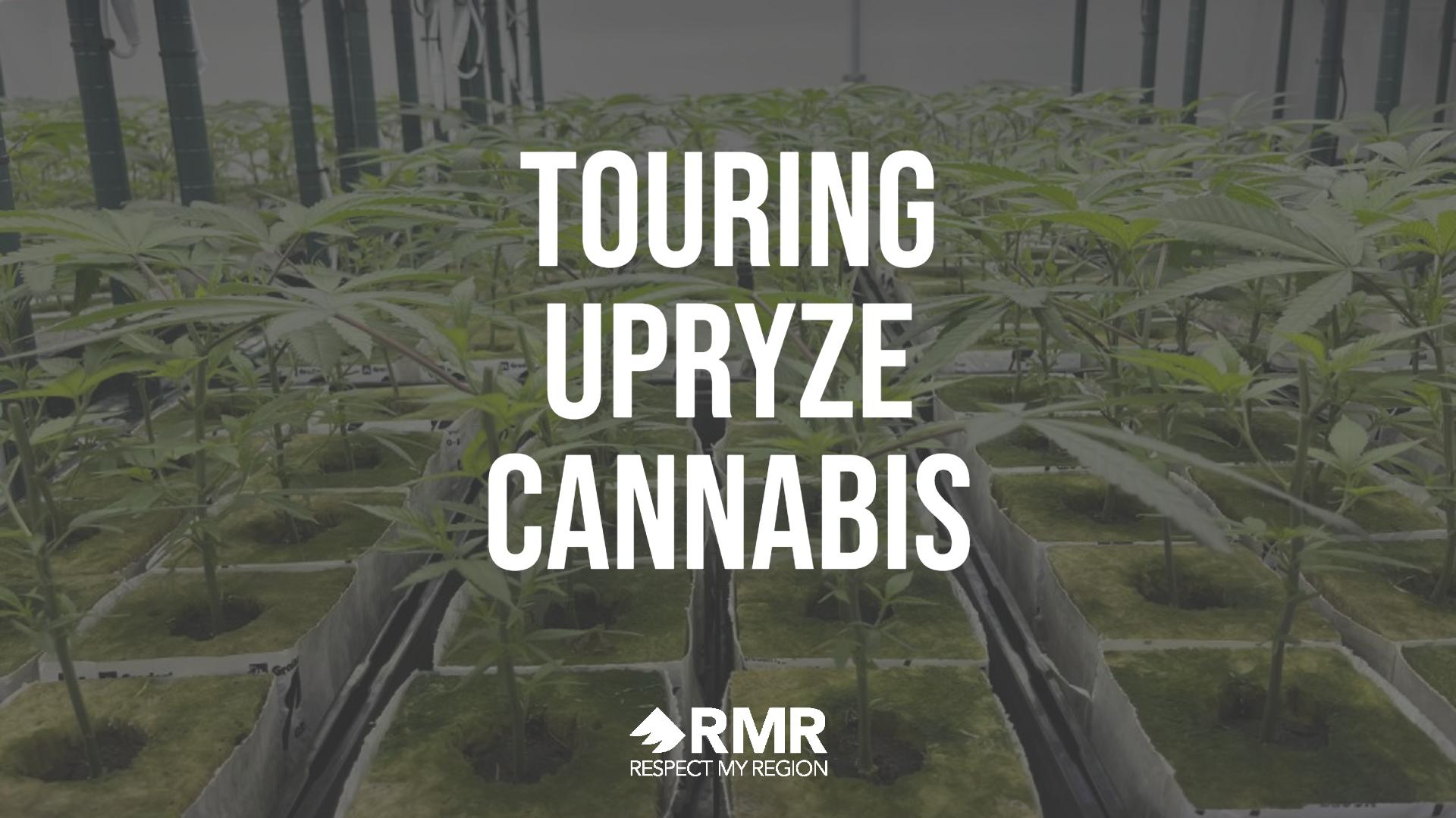 upryze cannabis tour