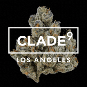 Cloud 9