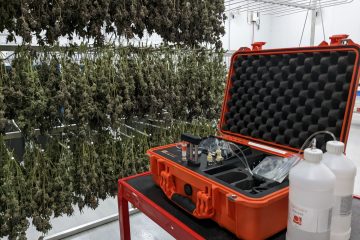 LightLab in grow room.