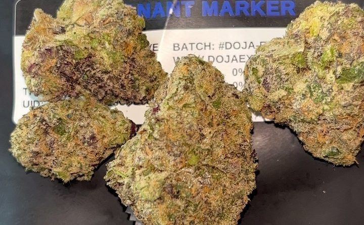 Permanent Marker strain from Heights Co at Gnome Grown