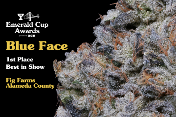 Emerald Cup Announces 2023 Winners at Awards Show in Bay Area Photo: Emerald Cup Website