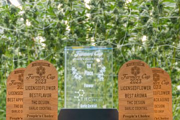 THC Design People's Choice Cannabis Awards