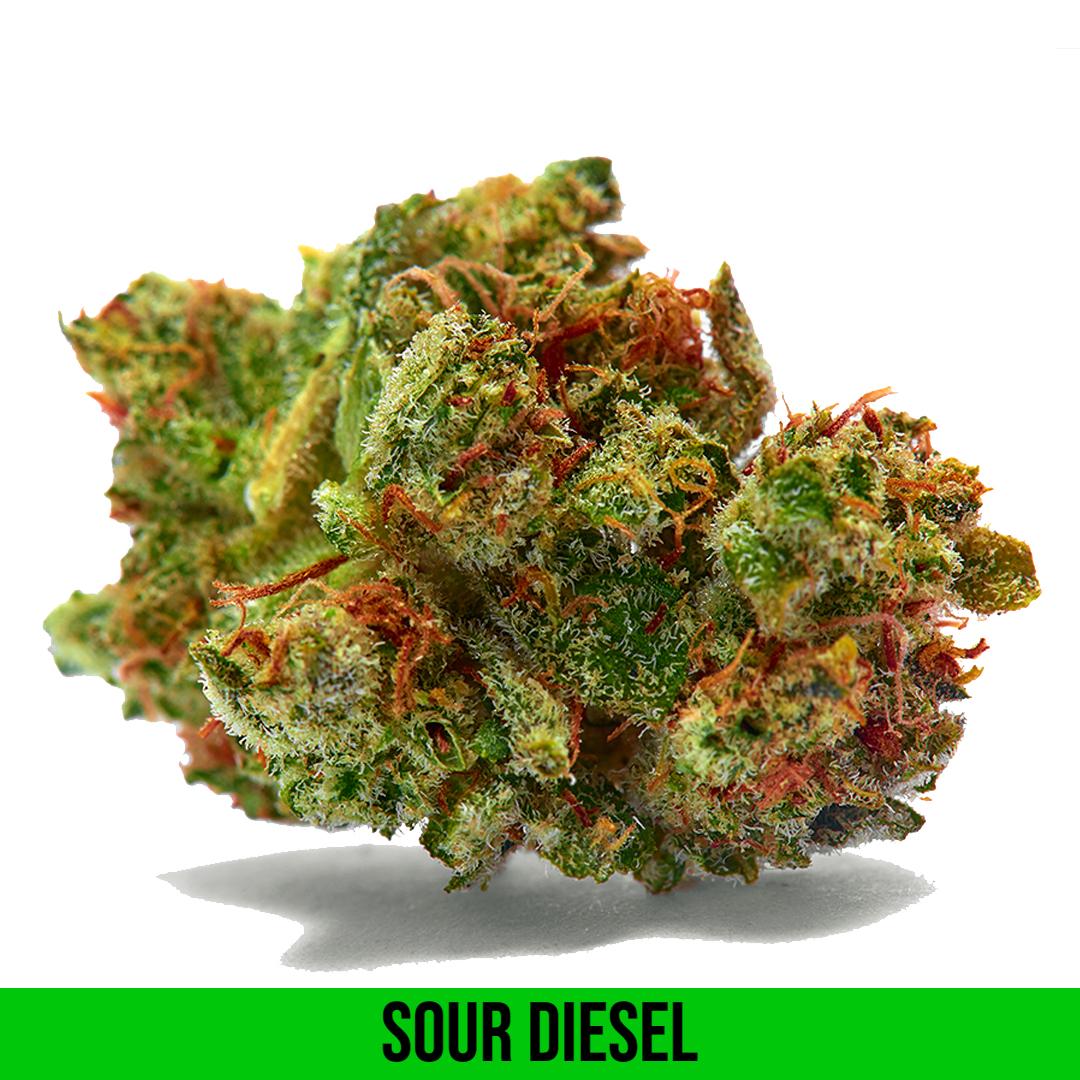 Sour Diesel strain