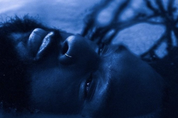 A Year With Rexx Life Raj's The Blue Hour