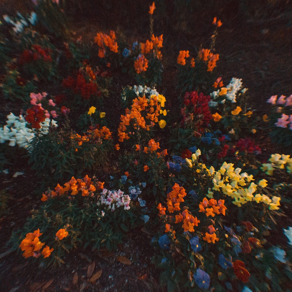shannon-vandenheuvel-4R20-qlgmP4-unsplash