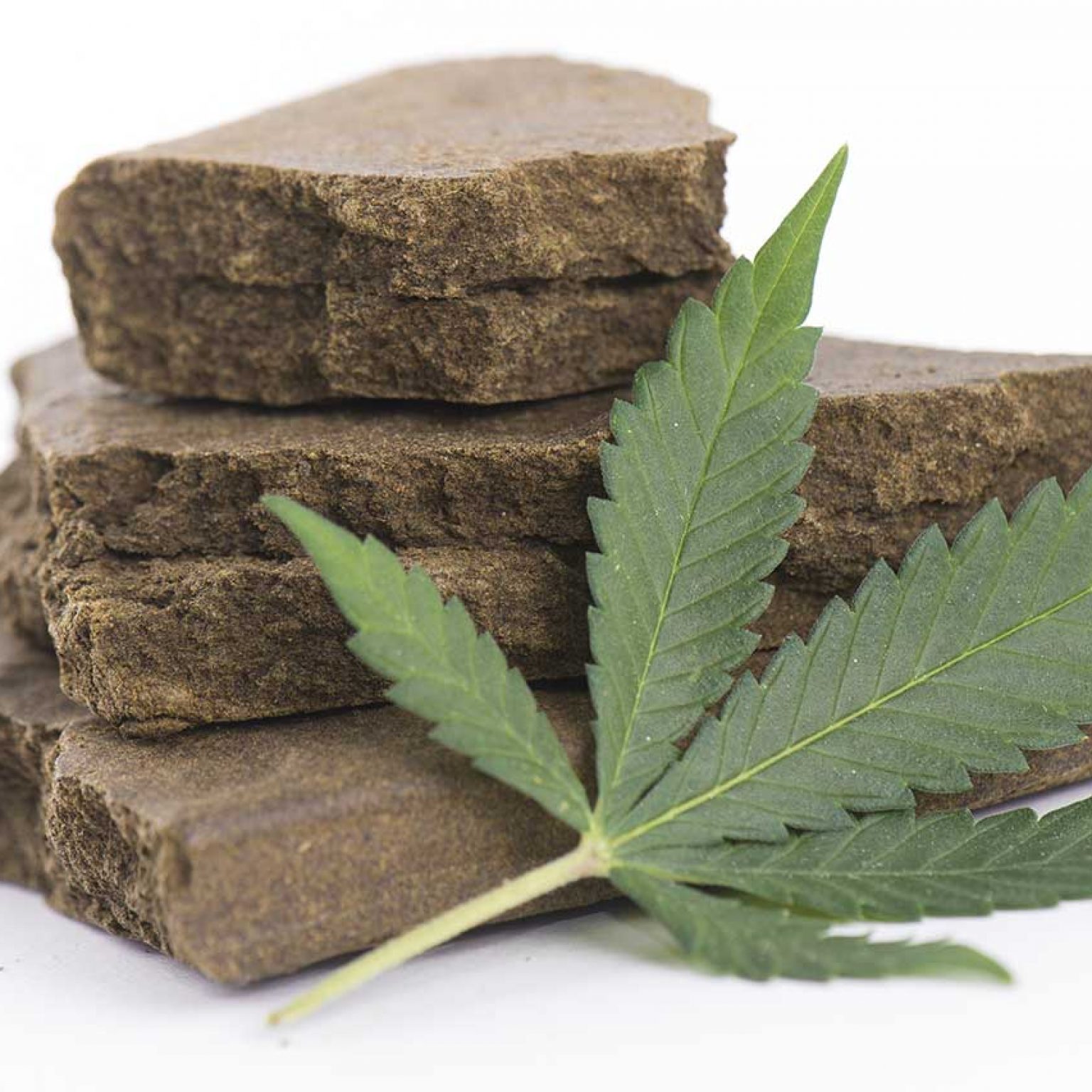 What Is Hashish: The Difference Between Hash and Cannabis