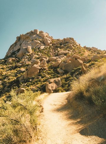 Phoenix Hiking Mason Mulcahy