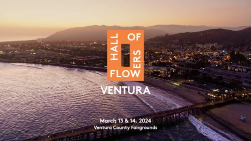 Respect My Region's Official Preview of Hall of Flowers Ventura