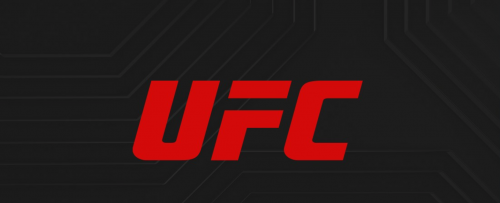 rules of UFC