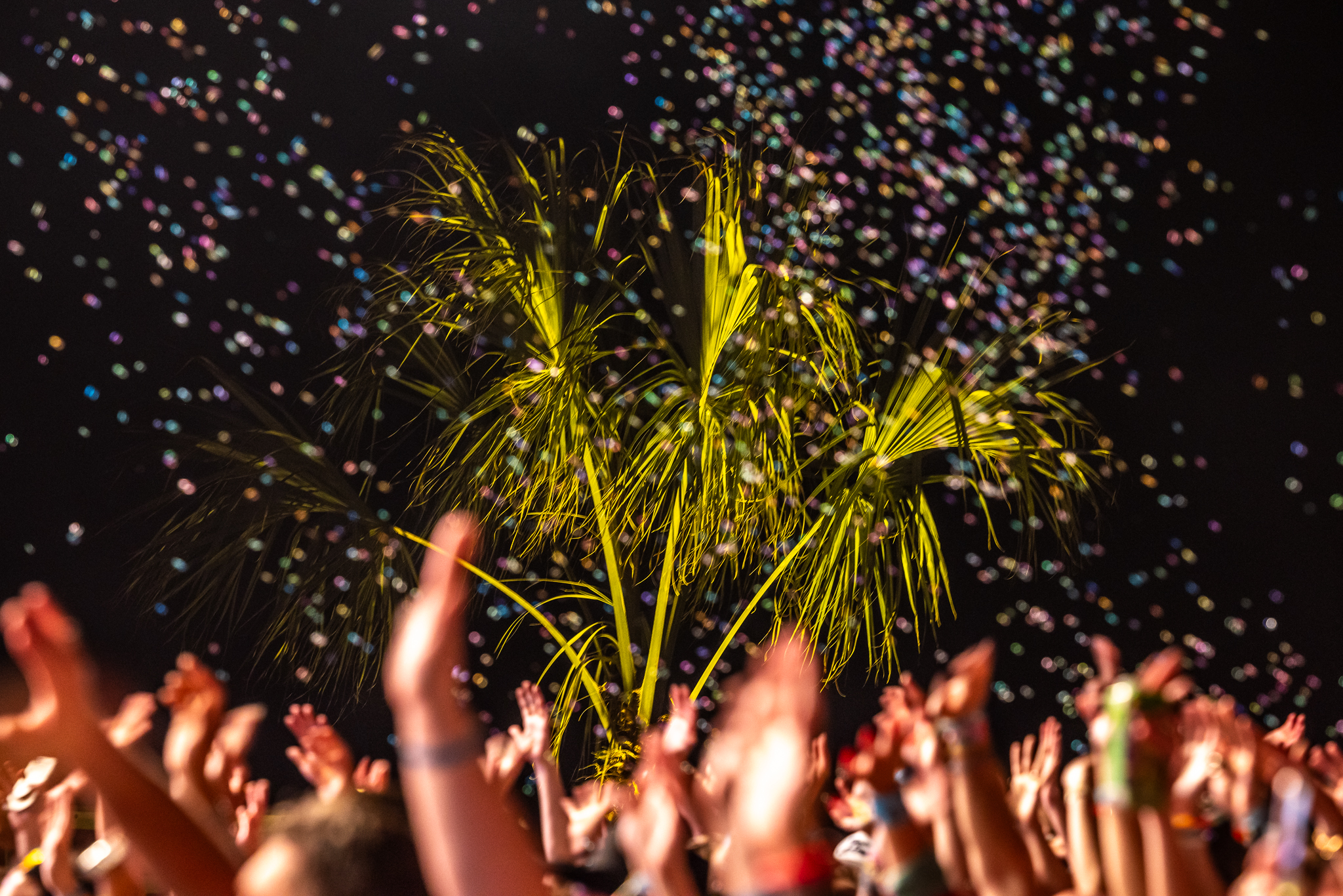 Hangout Music Festival Official 2024 Recap