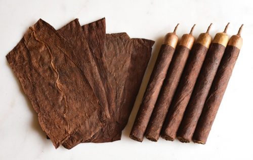 Exploring Tobacco Leaves in Cannabis Culture: From Grabba Leaf to Brother's Broad Leaf