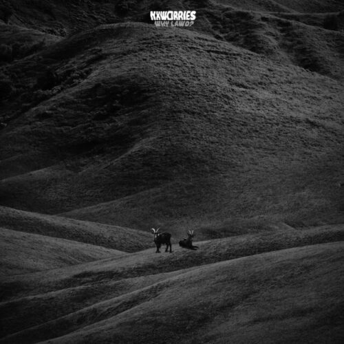 The Consistent Duo of NxWorries Captivate with a Beautifully Contained Sound