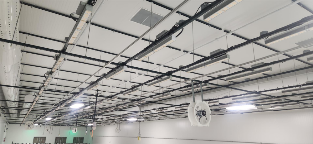 List Your Used or Like New Cannabis Equipment With Resell Canna Equipment - Fluence LED Grow Light