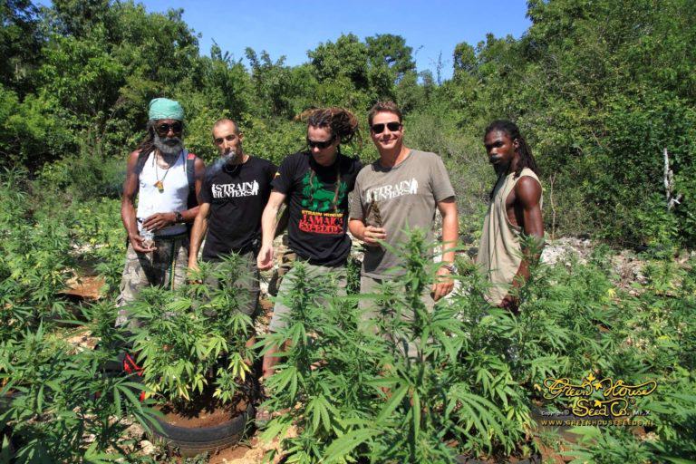 7 Best Weed-Friendly Countries for Tourists