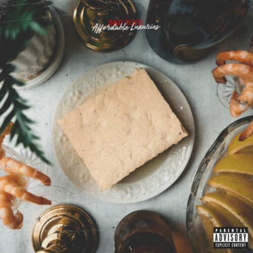 Bad Tofu, "Affordable Luxuries" album artwork | Top Albums from the Pacific Northwest 2024