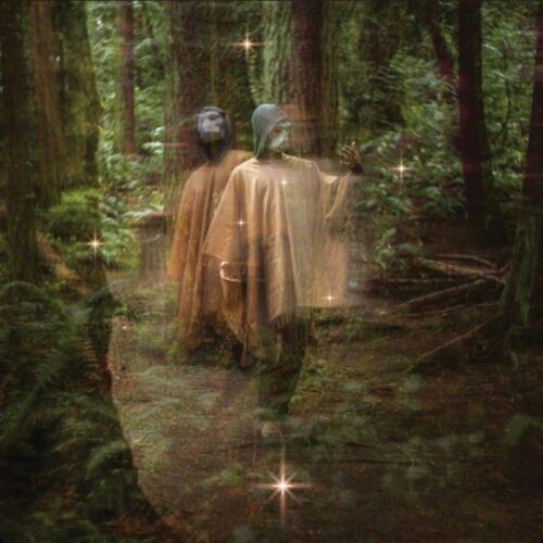 Terror/Cactus, "Forastero" album artwork | Top Albums from the Pacific Northwest 2024