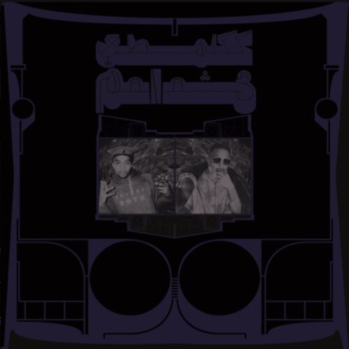 Shabazz Palaces, "Exotic Birds of Prey" album artwork | Top Albums from the Pacific Northwest 2024