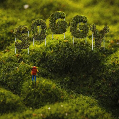 Yellow Trash Can, "Soggy" album artwork | Top Albums from the Pacific Northwest 2024