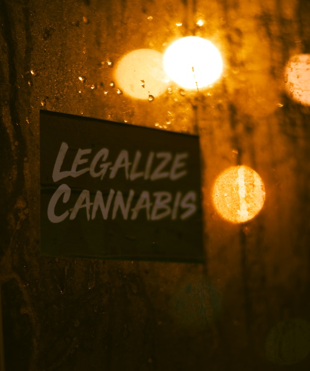THC Detox